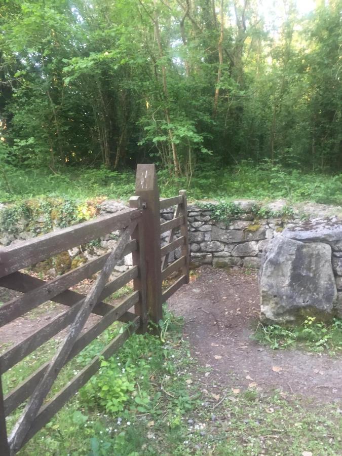 Sallys Cabin Kilcolgan エクステリア 写真